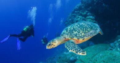 mergulho em seychelles