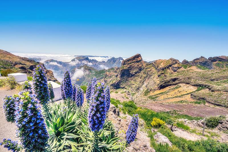 paisagens da ilha da madeira