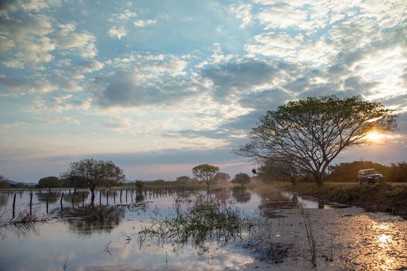 viajar para o pantanal com crianças