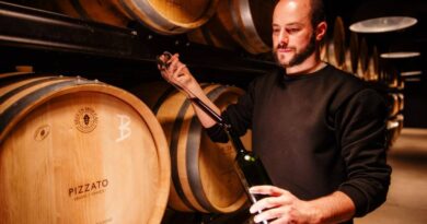 avaliação nacional de vinhos