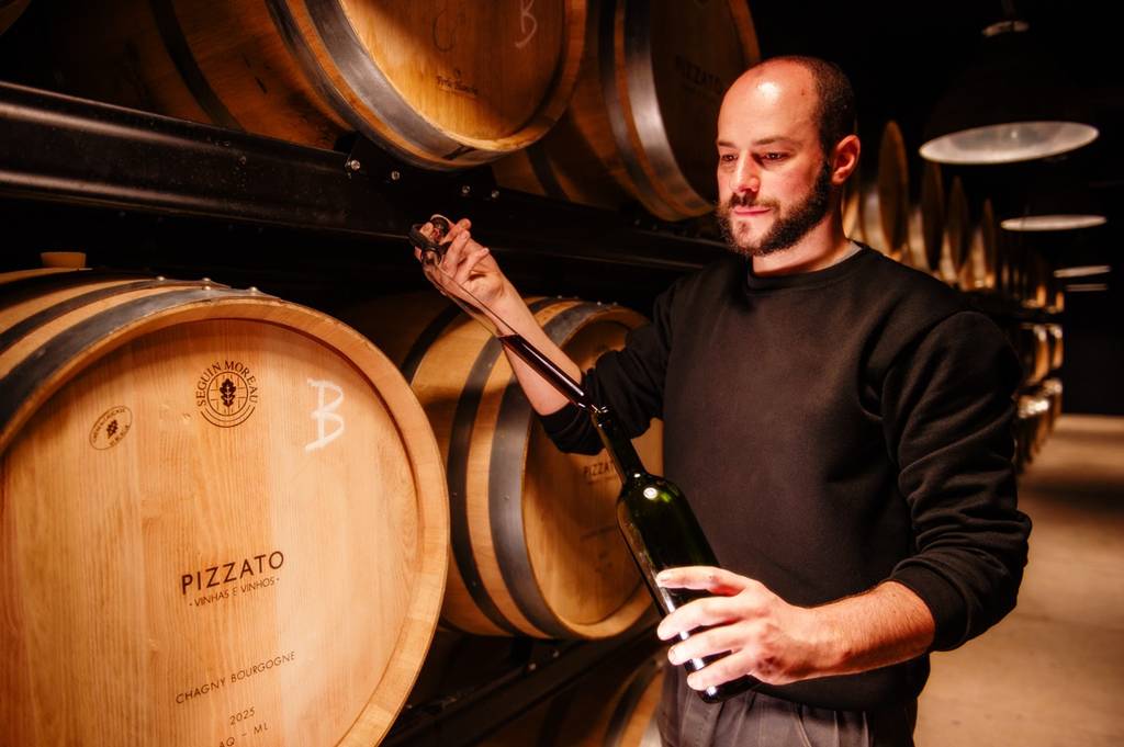avaliação nacional de vinhos